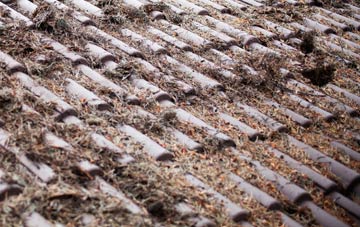 Aike roof cleaning companies