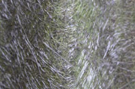 Aike fibreglass roof work